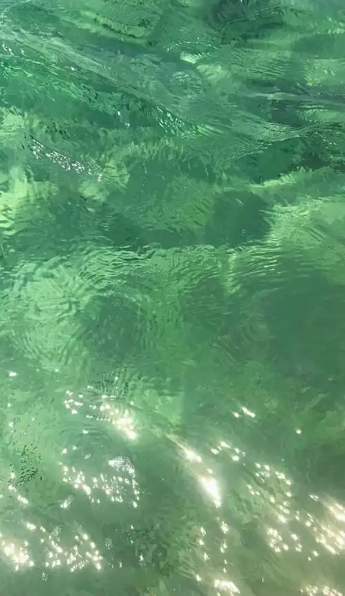 求抹茶绿系壁纸