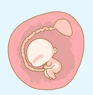 【提醒】喝个牛奶都能流产!别把冰箱当保险箱了!