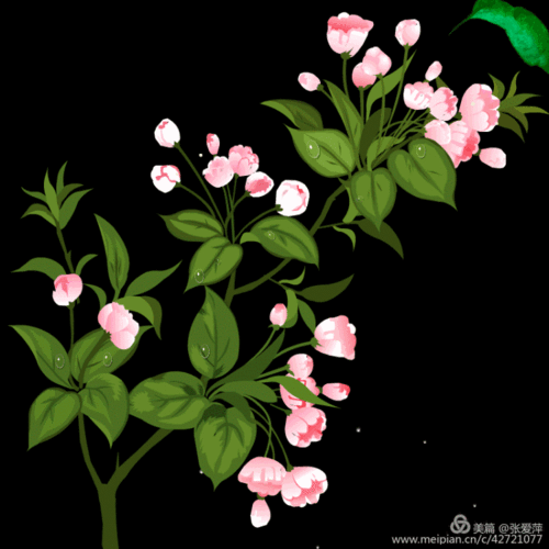 美篇专用花动图第二册(值得收藏)