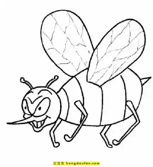 7张8到12岁小朋友最喜欢的昆虫简笔画蜻蜓蝴蝶螳螂毛毛虫蜜蜂简笔画