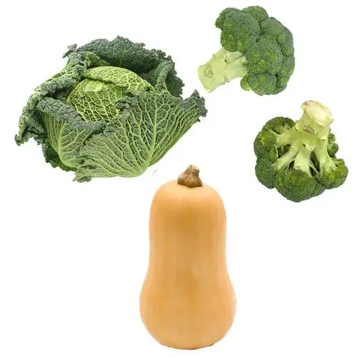 美食实物图蔬菜南瓜西蓝花青菜设计元素素材免费下载(图片编号:866961