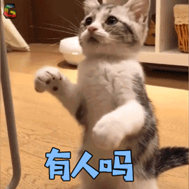 萌宠猫有人吗撩人soogifsoogif出品gif动图_动态图_表情包下载_soogif