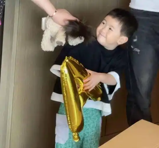 原创沈腾3岁儿子正面照曝光豪宅整排落地窗显奢华妻子备孕生虎妞