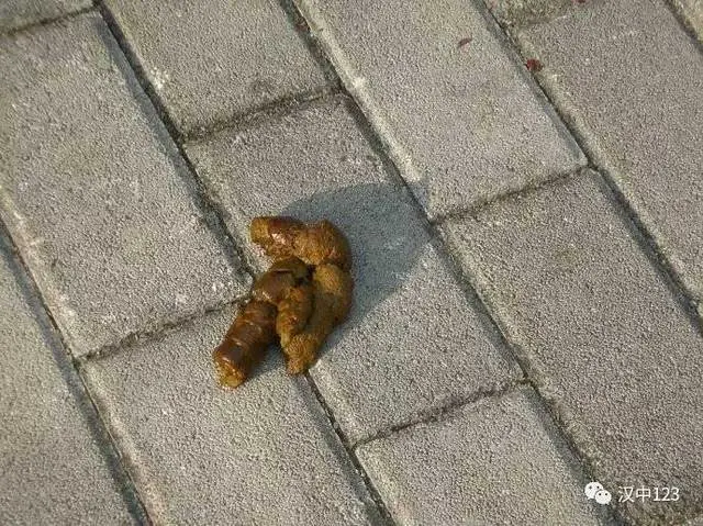 出门踩了一脚狗屎,就真的要走狗屎运?