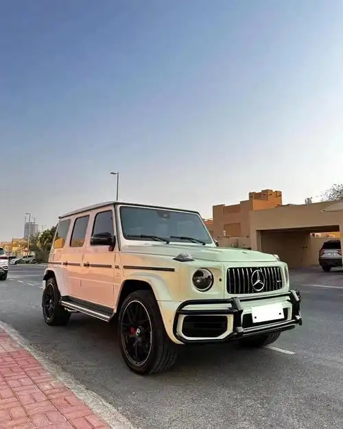 救命98蜜桃色奔驰大g也太帅了!