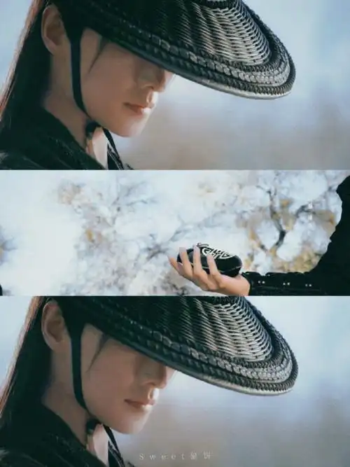 杨洋凡人修仙传