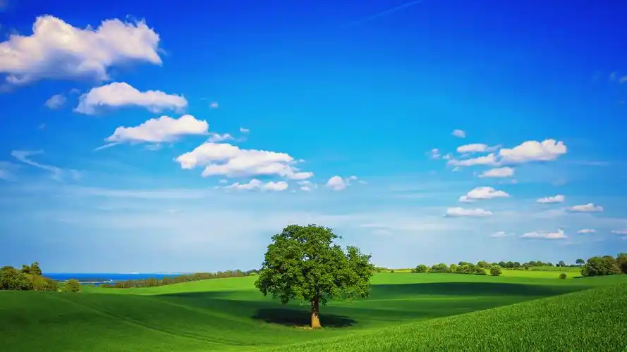 【1920x1080】蓝天白云绿色草地桌面壁纸 - 彼岸手机壁纸下载