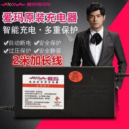 充电器电动车艾玛爱玛三轮车电瓶车48v2060v电动车充电器