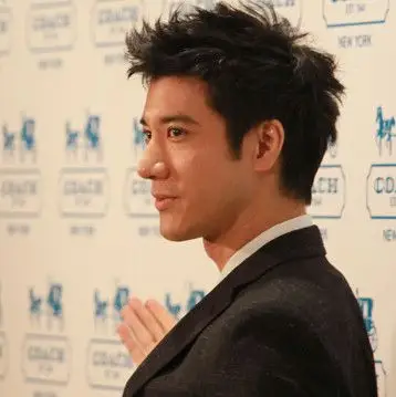 有没有王力宏的侧面帅图,要五张,最好要照片规格方正的,谢谢