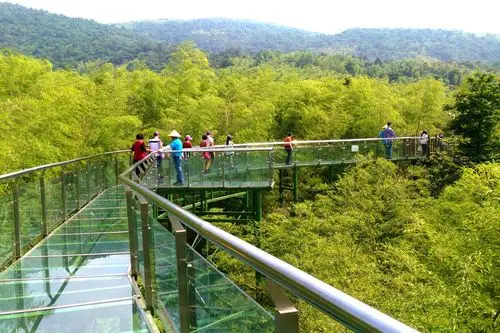 竹尖长廊又叫竹尖玻璃栈道,是个走在空中看竹,站在竹尖观海的好去处.