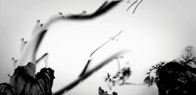 400_195gif 动态图 动图