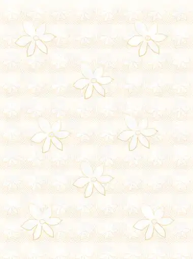 9简约线条金色几何图形图案装饰水印背景5911红色边框底纹装饰水印主