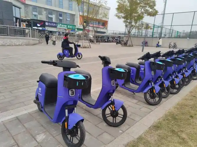 轻化工大学也有共享电动车了