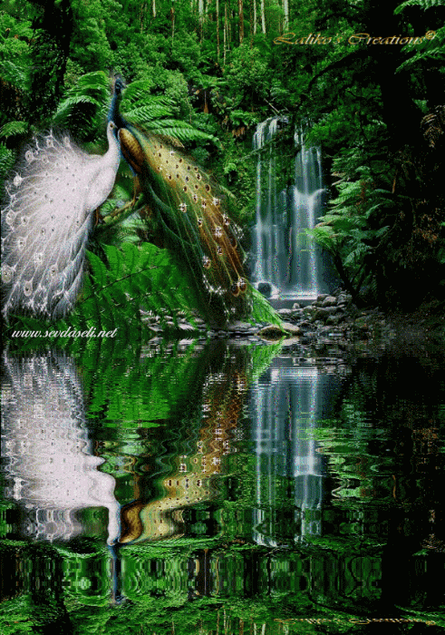 491_700竖版 竖屏gif 动态图 动图