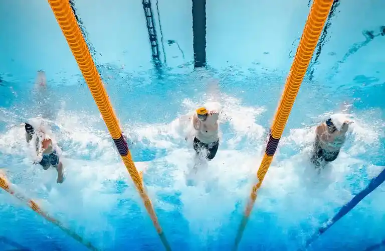 (游泳世锦赛)游泳