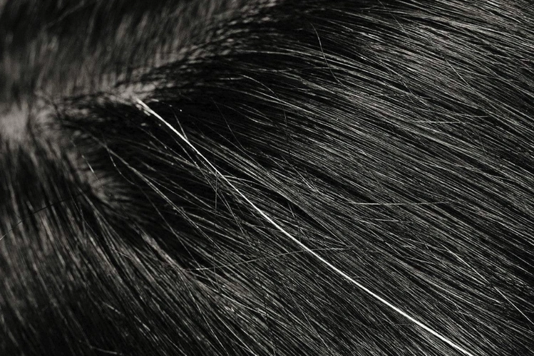 十几根白发图片_发型图片