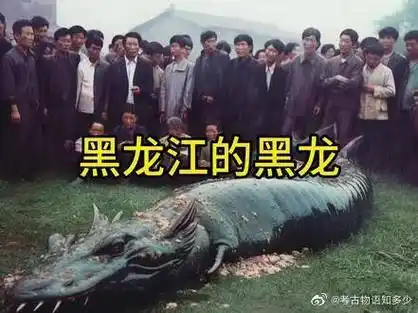 黑龙江真有黑龙吗?#珍贵影像 #奇闻奇事 #考古 #未解之谜 #真实事件