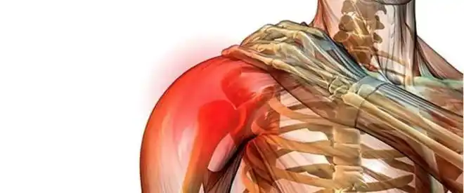 三角肌丨"站姿哑铃前平举"动作细节,充血快泵感强,肩膀更饱满|肌肉