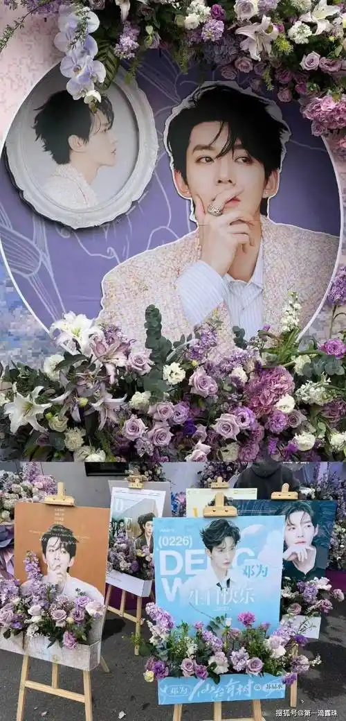 陈都灵赵今麦向涵之,你喜欢谁_邓为_张凌赫_网友