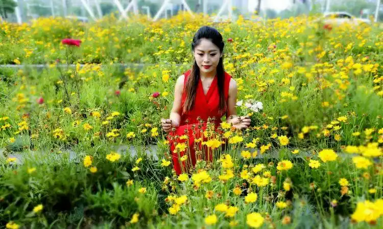 做个心中有风景的女人