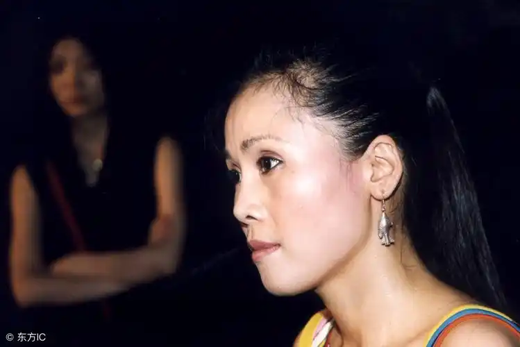 中国女歌手:田震