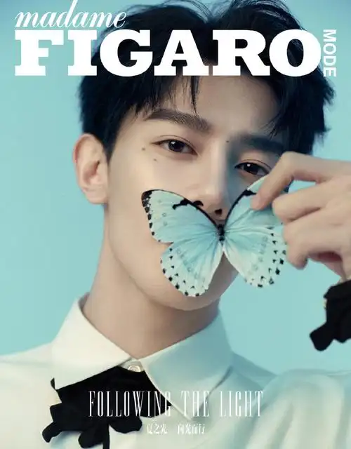 夏之光费加罗封面