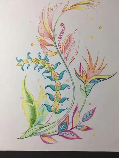 更多彩铅画入门教程可以关注露西学画画网!