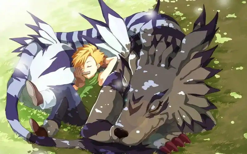 毫无违和感的娘口三三