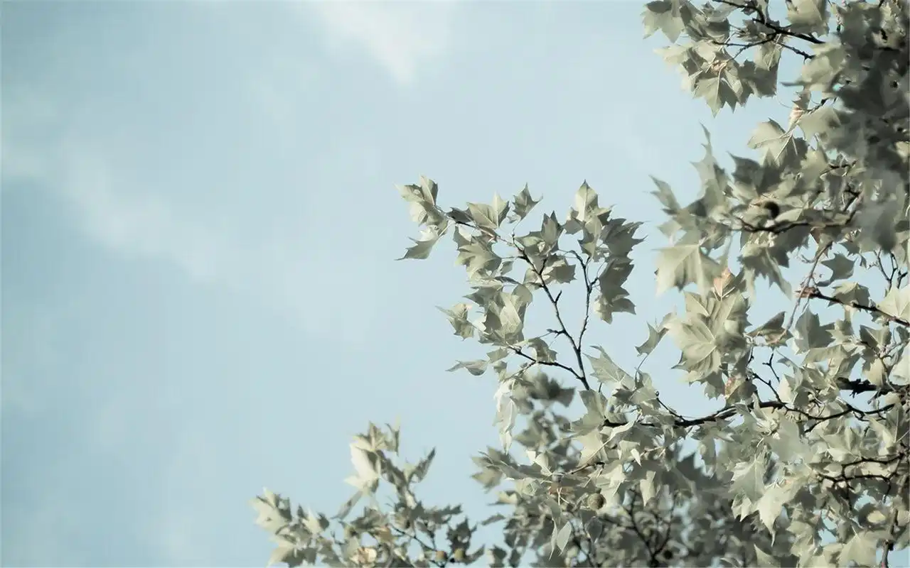 精选非主流治愈系唯美怀旧风景高清图片桌面壁纸下载