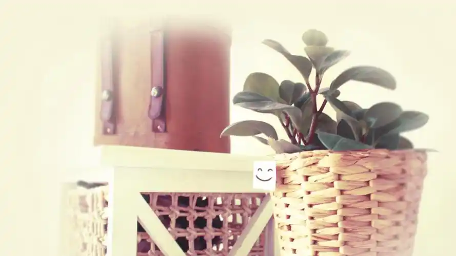 微笑好心情桌面壁纸