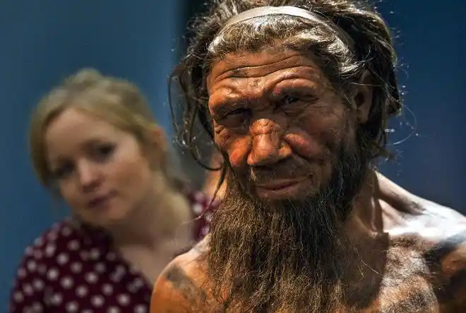 黄种人白种人黑种人为什么没有生殖隔离原因很简单