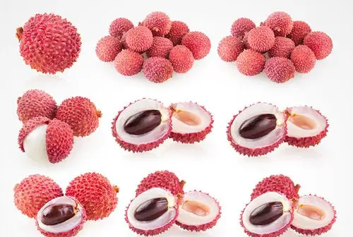 完整的与切开的红荔枝高清图片