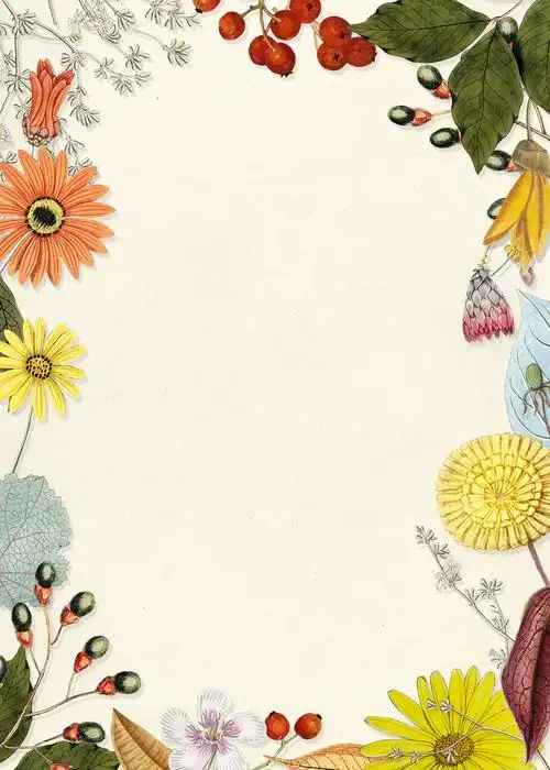 空框寻图网为设计师提供大量图片素材和矢量素材:杂花饰空框图片,背景