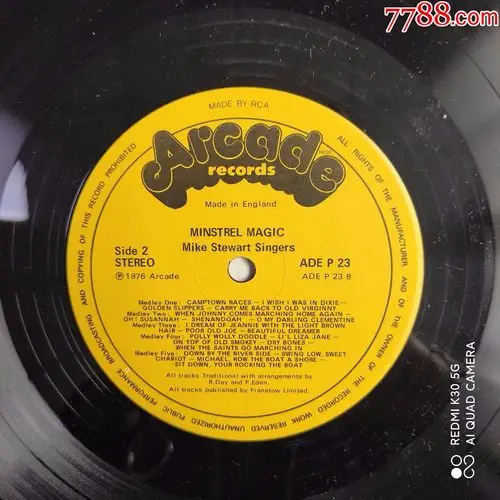 迈克·斯图尔特歌手-12寸黑胶lpnm115_老唱片/胶片_第3张_7788相机