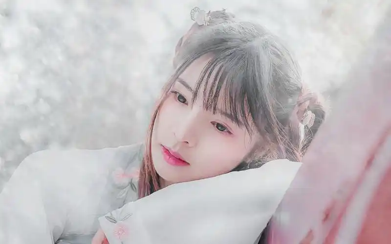 古风美女唯美气质高清合集壁纸,这是美桌网为你准备的电脑桌面壁纸