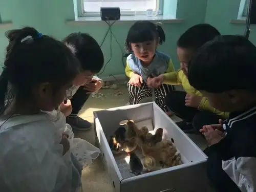 2017 年转眼逝去,在这一年里,开为幼儿园的孩子们在欢声笑语中平安