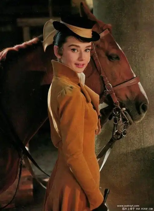 奥黛丽·赫本 (017)
