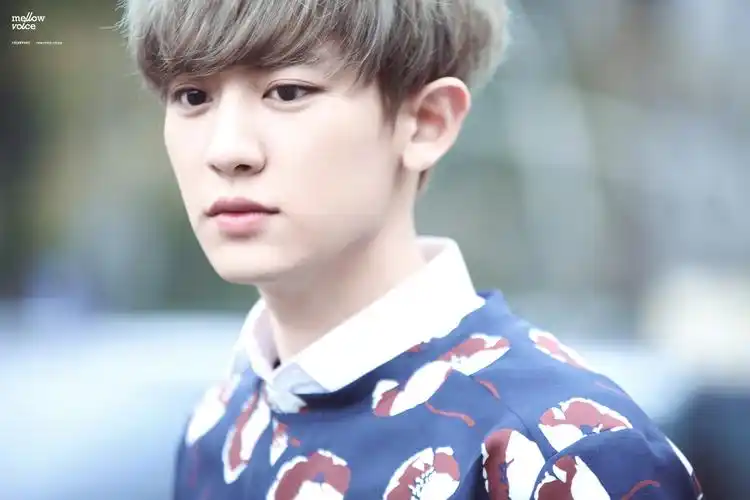 朴灿烈 - 堆糖,美图壁纸兴趣社区