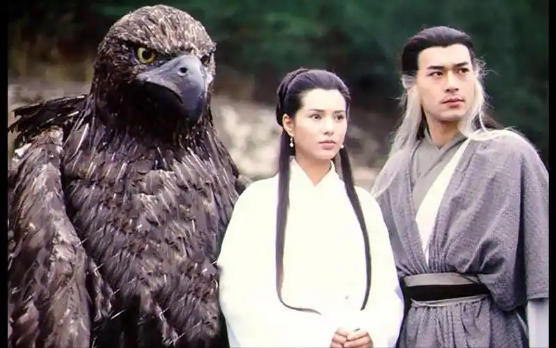 【睡前故事 | 神雕侠侣】那些我们一起追过的经典 [95版的故事]