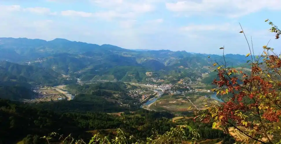 十里桃林(镇远白杨坪)