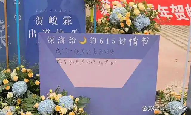 贺峻霖的粉丝名,应援色和应援口号是什么?