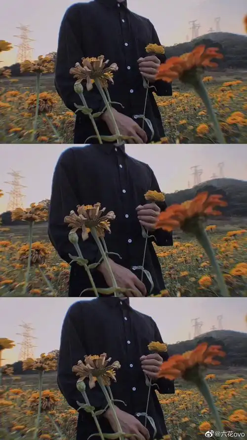 捧花男生头像 - 堆糖,美图壁纸兴趣社区