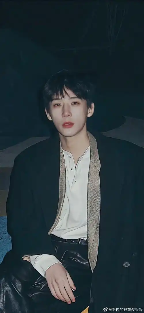 王安宇金发背头