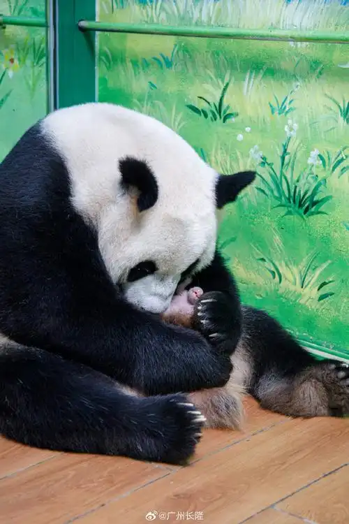 690_1035竖版 竖屏