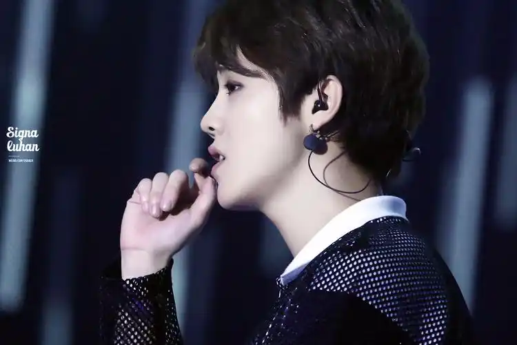 鹿晗- 堆糖,美图壁纸兴趣社区