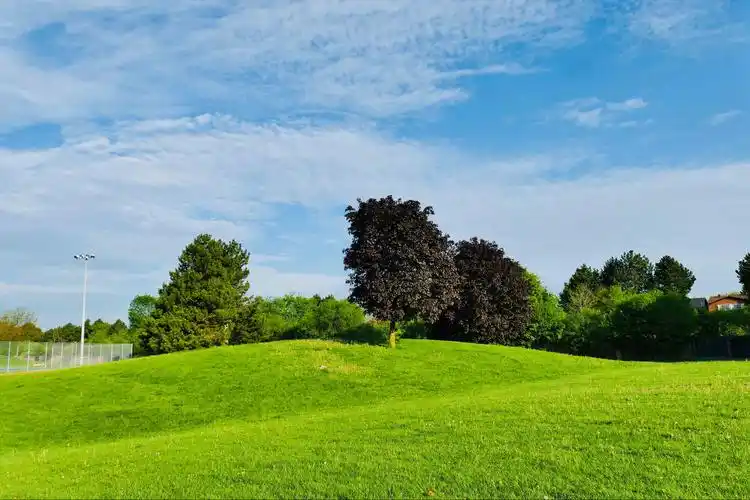 2020年回顾:身边风景也美丽 且看且珍惜