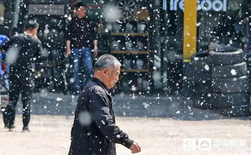 潍坊杨絮漫天飞舞如四月飘雪
