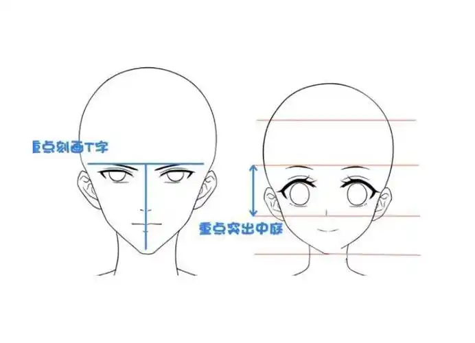 什么是三庭五眼四高三低动漫五官怎么画