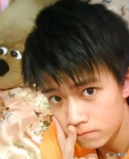 任嘉伦:事业当红选择结婚生子,娶平凡妻子相恋13年恩爱至今