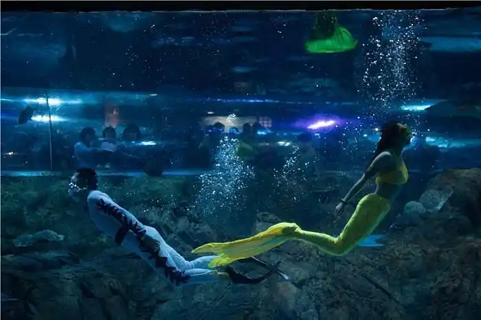 美人鱼表演一天多少钱价格 专业展览
